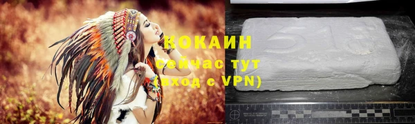 бошки Аркадак