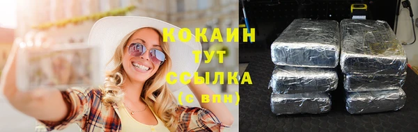 бошки Аркадак