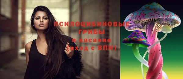 spice Армянск