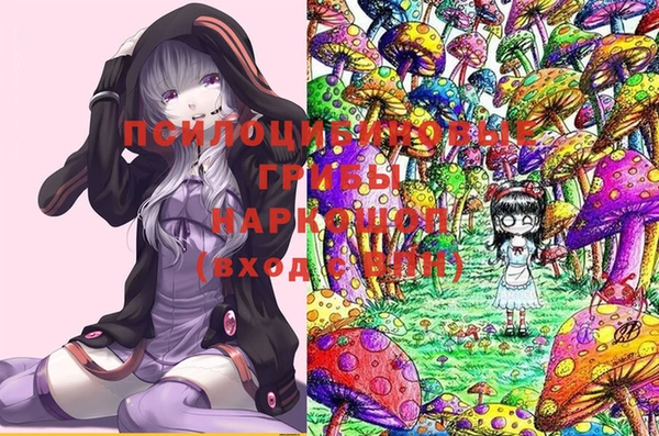 Альфа ПВП Арсеньев