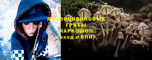 бошки Аркадак